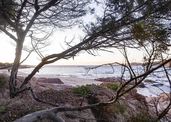 And Me Апартаменты